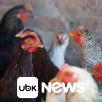 ECONOMIA - Brasil tem déficit em conta corrente acima do esperado em setembro