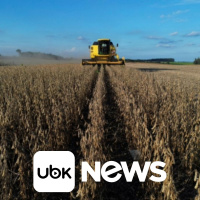 AGRONEGÓCIO - Desmatamento no Cerrado afeta potencial de produção de soja, aponta estudo