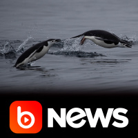 Ubook News - 11/02/2020