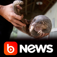 Ubook News - 07/02/2020