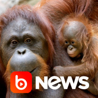 Ubook News - 17/08/2021 - 2ª Edição