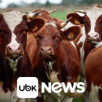 AGRONEGÓCIO - Milho sobe por preocupações com produtividade dos EUA forte demanda por esmagamento eleva a soja