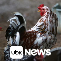 MUNDO - Israel e Líbano enviam civis a comitê de cessar-fogo para ampliar negociações