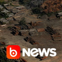 Ubook News - 22/10/2020 - 2ª Edição