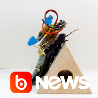 Ubook News - 22/09/2022 - 2ª Edição