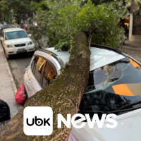 BRASIL - Moraes anula decisão da Câmara que manteve mandato de Zambelli e determina que Motta cumpra a Constituição