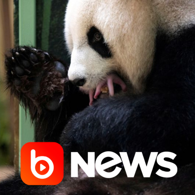 Diário de Notícias