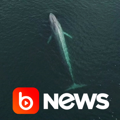 Diário de Notícias