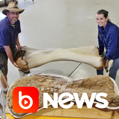 Diário de Notícias