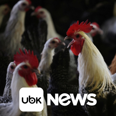 Diário de Notícias