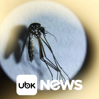 Diário de Notícias