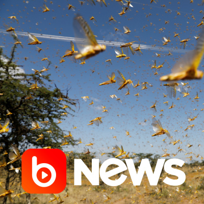 Diário de Notícias