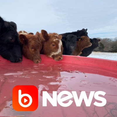 Diário de Notícias