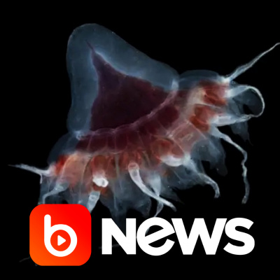 Diário de Notícias