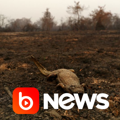 Diário de Notícias