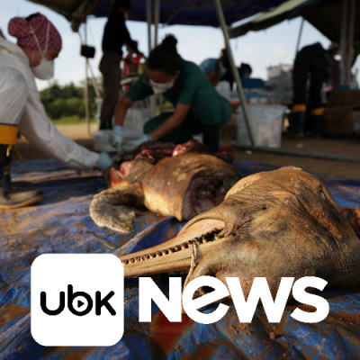 Diário de Notícias