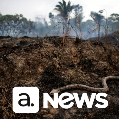 Diário de Notícias