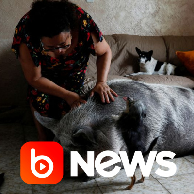 Diário de Notícias