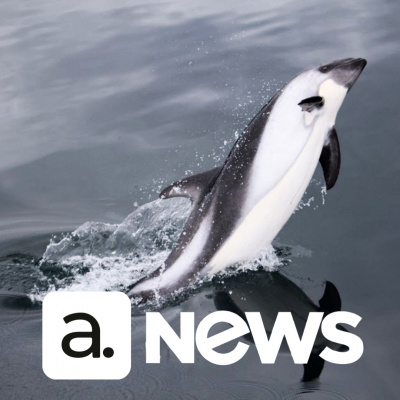 Diário de Notícias