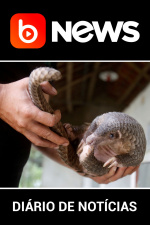 Diário de Notícias - 07/02/2020