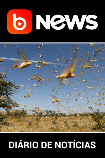 Diário de Notícias - 02/03/2020