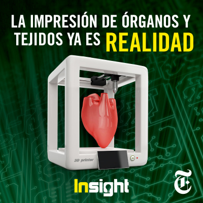 Insight