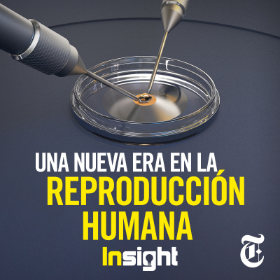 Insight