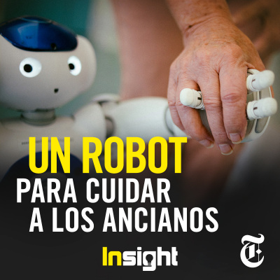 Insight