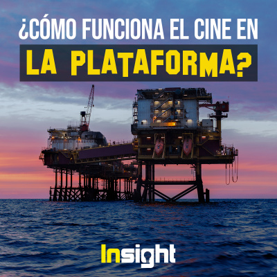 Insight