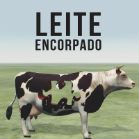 E2: Leite encorpado