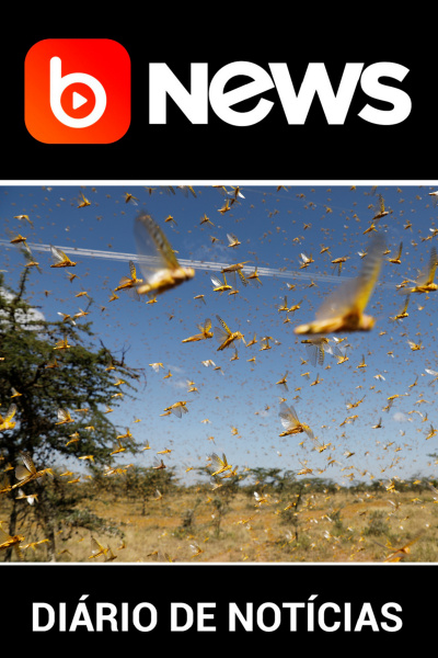 Diário de Notícias - 25/06/2020